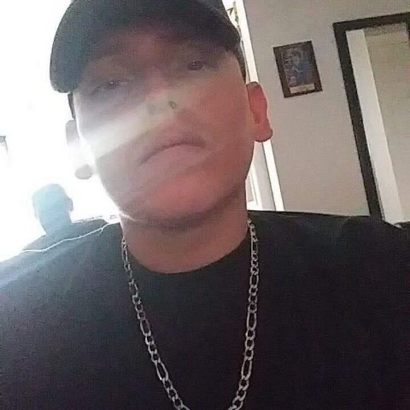 Meet your Posher, Oscar - Picture 1 of 1